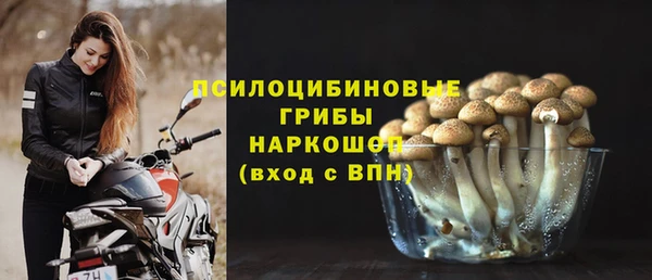 стаф Волоколамск