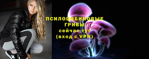 стаф Волоколамск