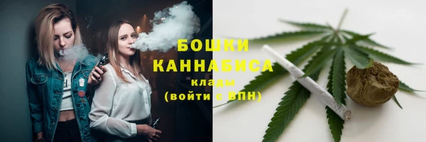 стафф Вяземский