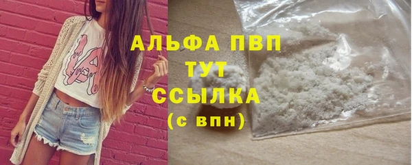 стафф Вяземский