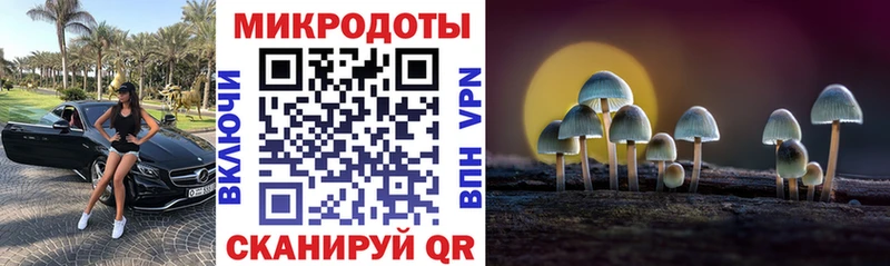 Псилоцибиновые грибы MAGIC MUSHROOMS  магазин    Карабулак 